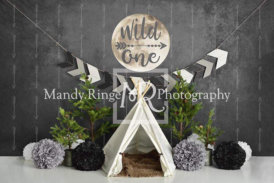 Katebackdrop£ºKate Wild One Boy First Birthday Backdrop Designed By Mandy Ringe Photography