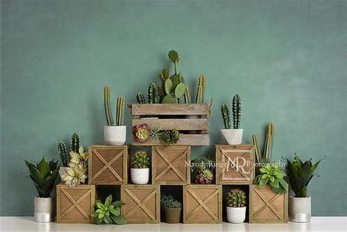 Katebackdrop：Kate Spring Cactus and Succulents with Crates Backdrop for Children Designed By Mandy Ringe Photography