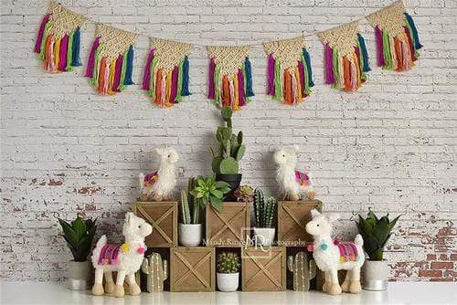 Katebackdrop£ºKate Spring Llamas with Cactus and Macrame Backdrop Designed By Mandy Ringe Photography