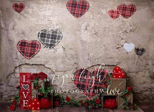Katebackdrop：Kate Valentine's Day Brick Wall Backdrop Designed by Megan Leigh Photography