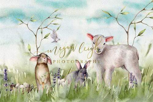 Katebackdrop£ºKate Spring Nature Field Easter Backdrop Designed by Megan Leigh Photography