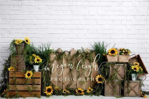 Katebackdrop£ºKate Spring Sunflower White Brick Backdrop Designed By Megan Leigh Photography