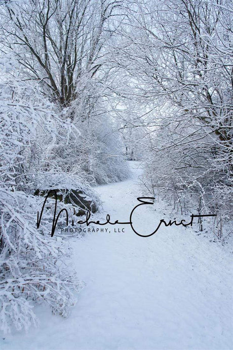 Katebackdrop£ºKate Woodland Winter Snow Backdrop Designed by Michele Ernst Photography
