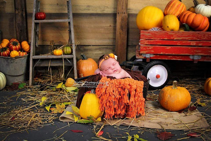 Katebackdrop：Kate Pumpkin Harvest Backdrop Autumn and Halloween designed by Arica Kirby