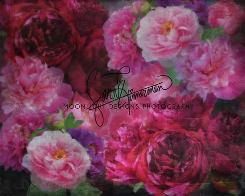 Cargar imagen en el visor de la galería, Katebackdrop£ºKate Spring Pink Floral Backdrop for Photography Designed by Sarah Timmerman