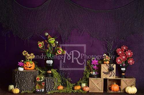 Katebackdrop£ºKate Spooky Garden Halloween Backdrop Designed By Mandy Ringe Photography