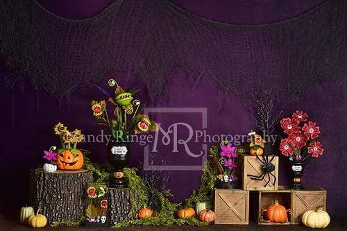 Cargar imagen en el visor de la galería, Katebackdrop£ºKate Spooky Garden Halloween Backdrop Designed By Mandy Ringe Photography