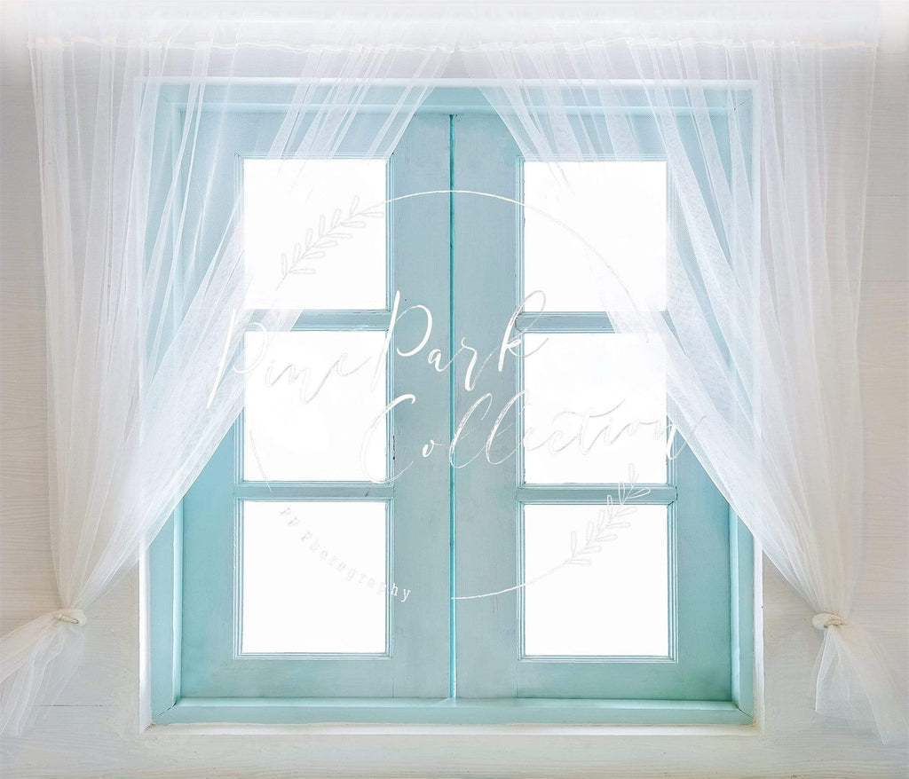 Katebackdrop£ºKate Teal Window Doors Backdrop for Photography Designed By Pine Park Collection