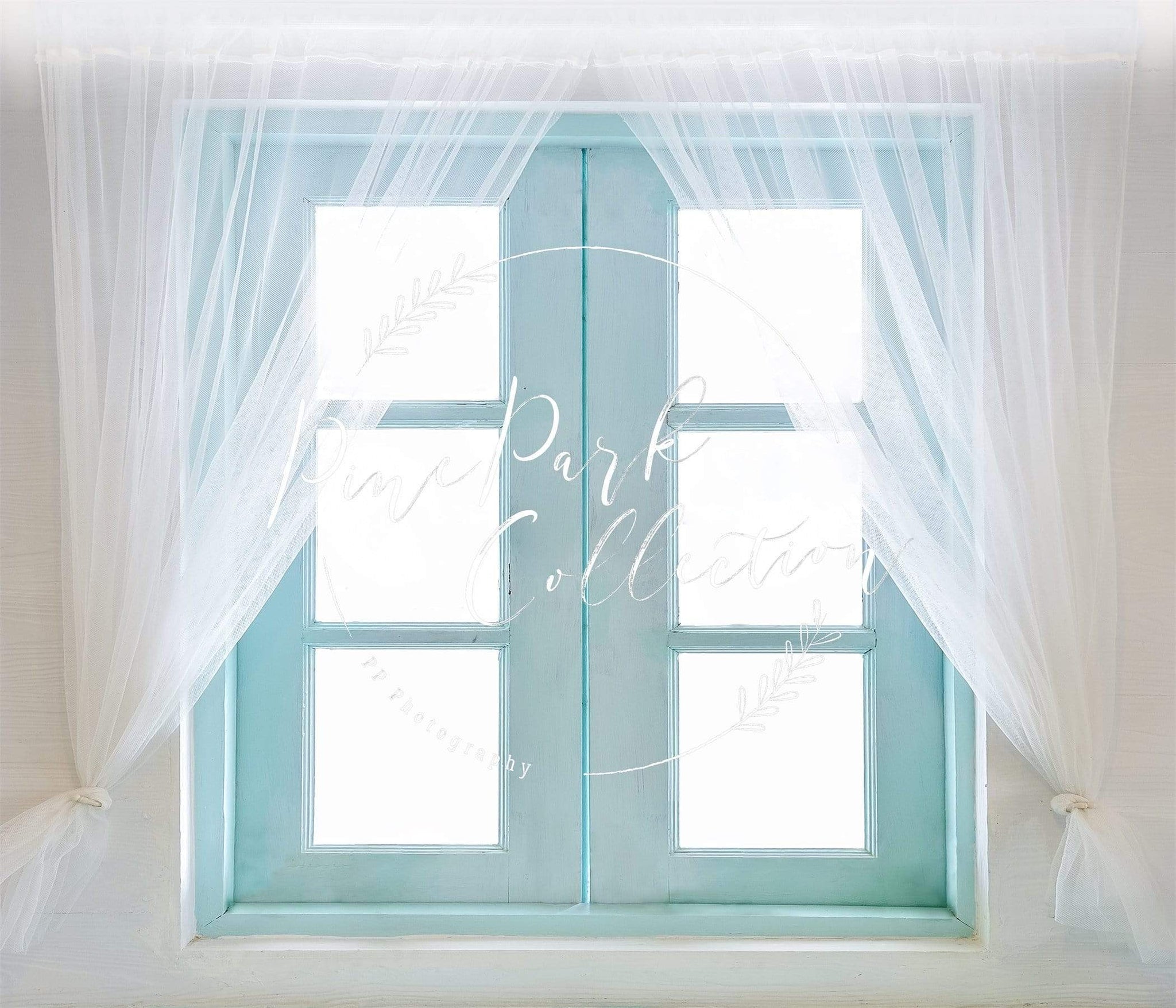 Cargar imagen en el visor de la galería, Katebackdrop£ºKate Teal Window Doors Backdrop for Photography Designed By Pine Park Collection