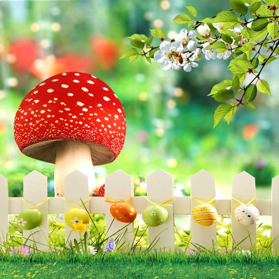 Kate Telones de fondo de Pascua Paisajes naturales Fotografía de primavera Flores amarillas Huevos coloridos Fondo de fotos