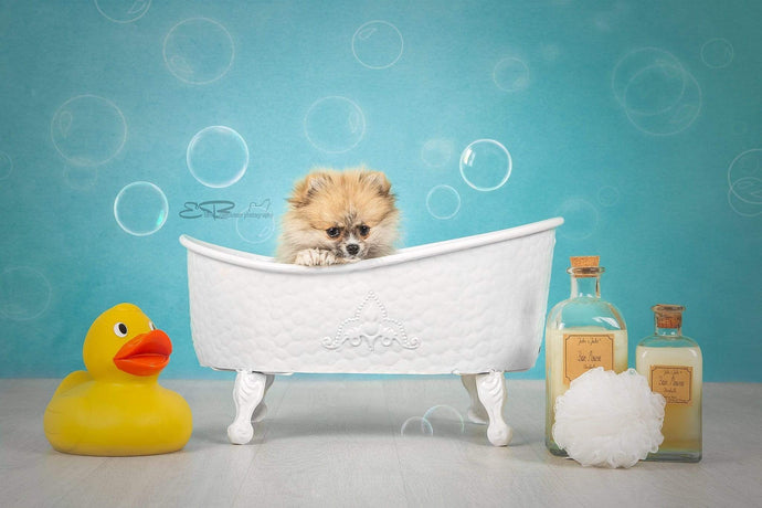 Katebackdrop：Kate Baby Shower Bubbles Backdrop for Photography Designed by Mini MakeBelieve
