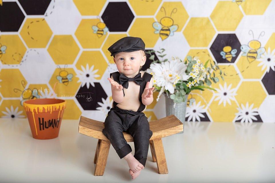 Katebackdrop：Kate Bumble Bee Summer Backdrop for Photography Designed by Megan Leigh Photography