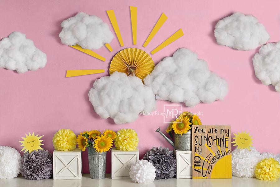Kate Telón de fondo rosa de cumpleaños de nubes de sol diseñado por Mandy Ringe Photography