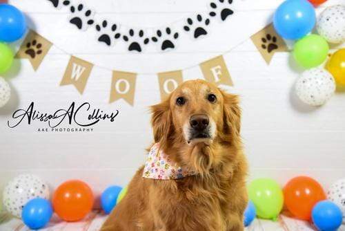 Katebackdrop£ºKate Neutral Dog Balloons Decorations Backdrop Designed by AAE Photography