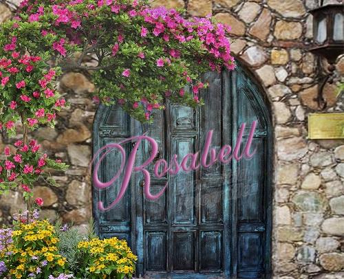 Kate Telón de fondo de puerta de primavera diseñado por Rosabell Photography